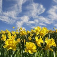 Spring Competition…Mad March Mayhem! Spring Competition…Mad March Mayhem!