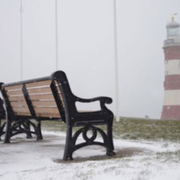 Devon’s weather conditions bring delays to your orders Devon’s weather conditions bring delays to your orders